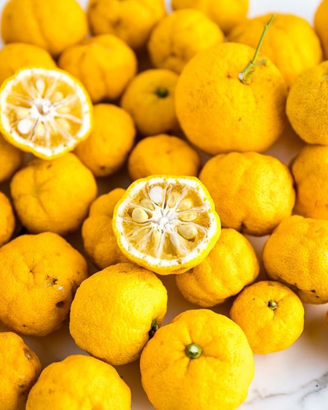 ancr-e-sels-aromatis-s-sel-algues-pot-45g image 3